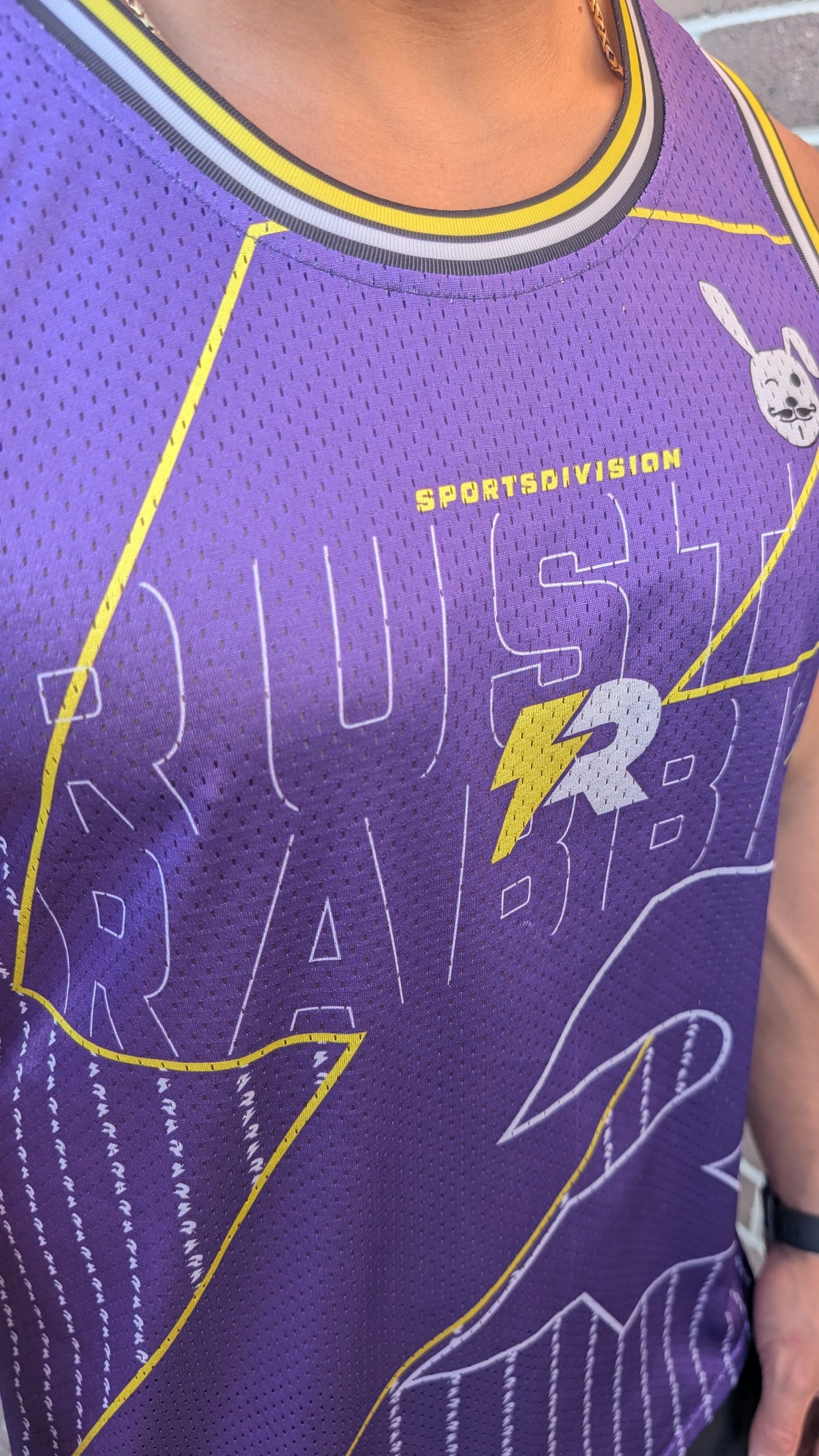 Sports Division Jersey